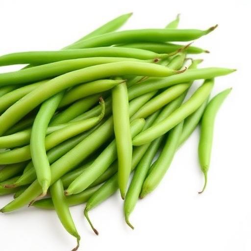 Haricot vert
